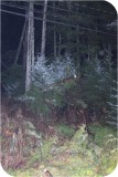 View IMG 0029