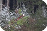 View IMG 0035
