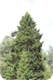 View IMG 2748