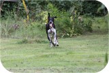 View IMG 2760