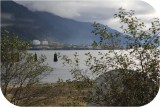 View IMG 6458